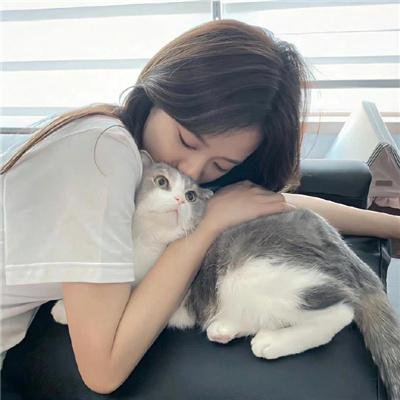 小鸟之翼第二季